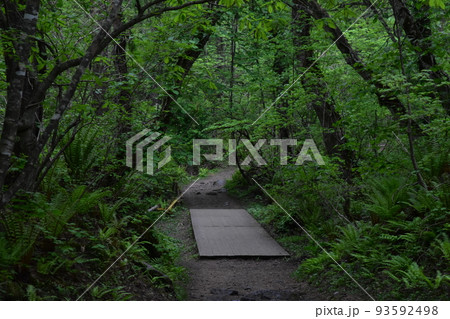 東北 福島 裏磐梯 五色沼 自然 散策路 コース 磐梯山 高原 レイク リゾート 噴火 湖沼 東北 福島 裏磐梯 五色沼 自然 散策路 コース 磐梯山 高原 レイク リゾート 噴火 湖沼 93592498