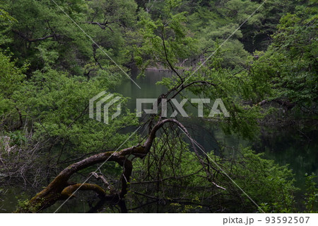 東北 福島 裏磐梯 五色沼 自然 散策路 コース 磐梯山 高原 レイク リゾート 噴火 湖沼 東北 福島 裏磐梯 五色沼 自然 散策路 コース 磐梯山 高原 レイク リゾート 噴火 湖沼 93592507