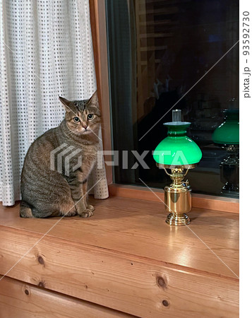 ペットのキジトラ猫とオイルランプ　野尻高原 大学村にあるログハウス 93592730
