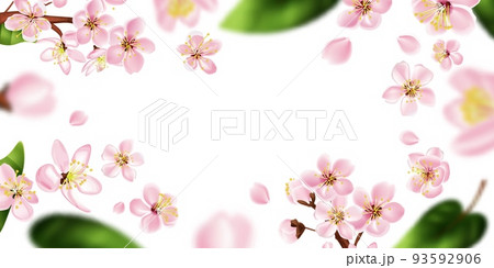 Fruit Tree Branch Frame Fruit Tree Branch Frame 93592906