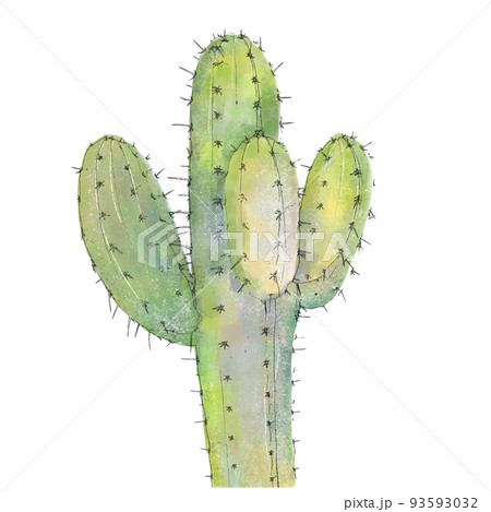 サボテン・水彩風さぼてん_1のイラスト素材 [93593032] - PIXTA