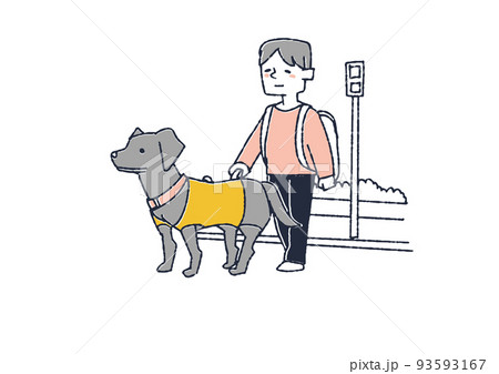 盲導犬と一緒に信号を渡る男性　障害者を思いやる周りの人々や社会づくり 93593167