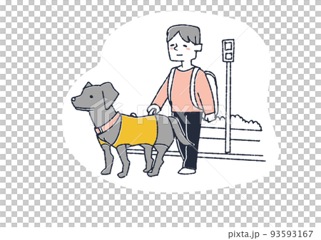 盲導犬と一緒に信号を渡る男性　障害者を思いやる周りの人々や社会づくり 93593167