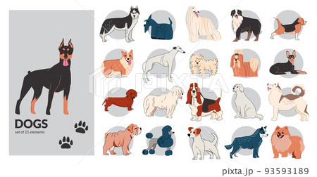 Dog Drawing Outline Collection 93593189