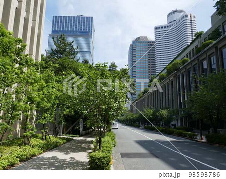 紀尾井町通り　　（東京都千代田区） 93593786