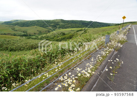 宗谷丘陵 93597568