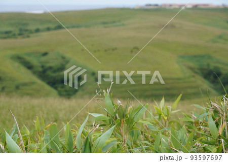 宗谷丘陵 宗谷丘陵 93597697