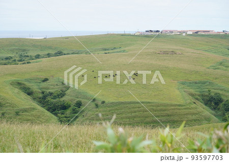 宗谷丘陵 宗谷丘陵 93597703