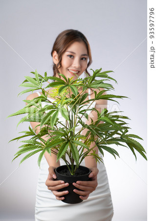 Portrait of gorgeous girl with healthy fresh skin and makeup holding hemp pot. 93597796