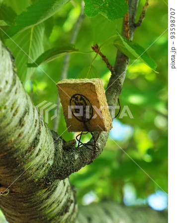 テックス板（殺虫剤） 93598707