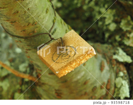 テックス板(殺虫剤) テックス板(殺虫剤) 93598718