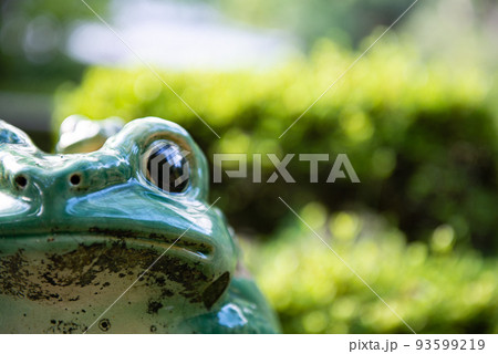 カエル 93599219