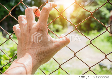 Hands catching mesh cage. The prisoner want freedom. Man lack of Independence. Cross processing and Split tone instragram like process. with Sun light. Hand holding on Metal Grille. Hands catching mesh cage. The prisoner want freedom. Man lack of Independence. Cross processing and Split tone instragram like process. with Sun light. Hand holding on Metal Grille. 93599998
