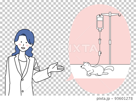 指導寵物靜脈滴注的白大褂女士 93601278