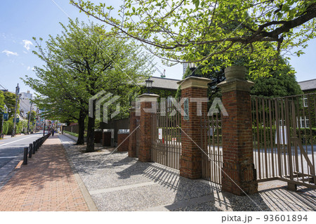 立教大学 立教大学 93601894