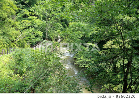 宮城県　磊々峡 93602320