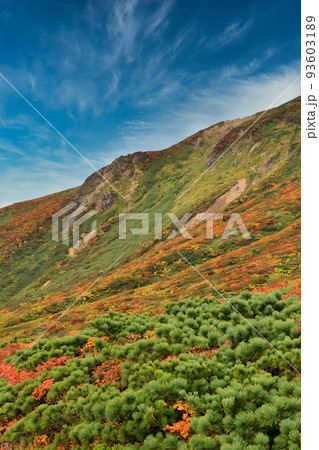 秋の栗駒山の紅葉 秋の栗駒山の紅葉 93603189