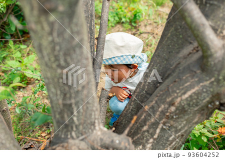 2 years old 2 years old 93604252