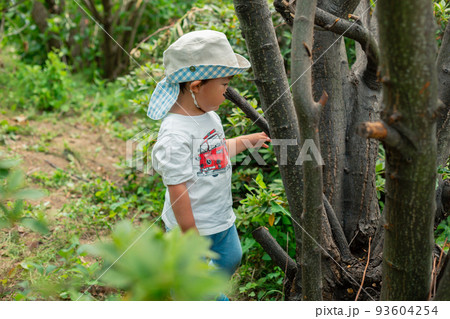 2 years old 93604254