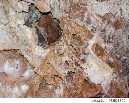 Boxwork formation inside Wind Cave National Park in the Black Hills of South Dakiota Boxwork formation inside Wind Cave National Park in the Black Hills of South Dakiota 93605322
