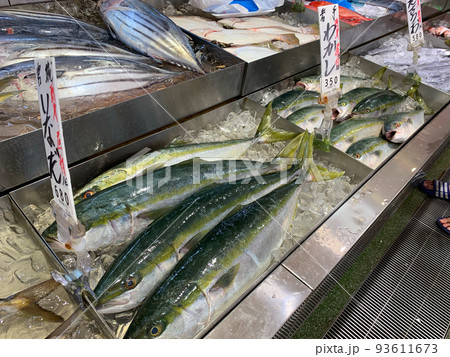 イナダの刺身　出世魚 93611673