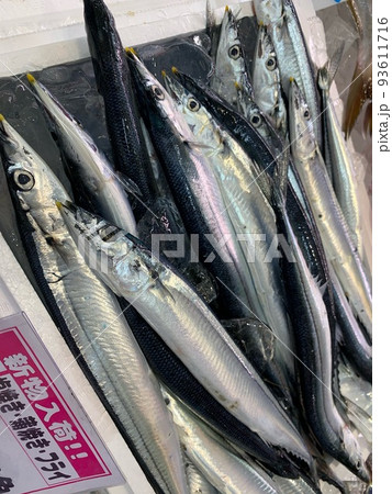 秋の魚　さんま　バーベキューの炭焼き 93611716