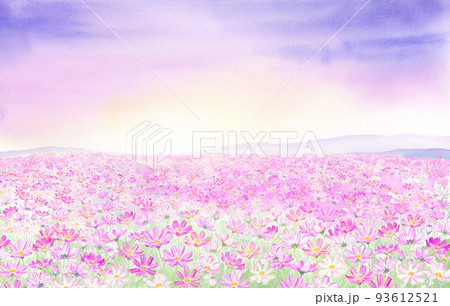 幻想的なコスモス畑の風景　水彩画 93612521