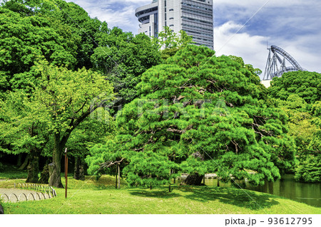東京都 小石川後楽園 大泉水の一つ松 東京都 小石川後楽園 大泉水の一つ松 93612795