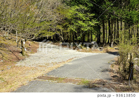 西丹沢の大室山 登山口の用木沢出合 西丹沢の大室山 登山口の用木沢出合 93613850