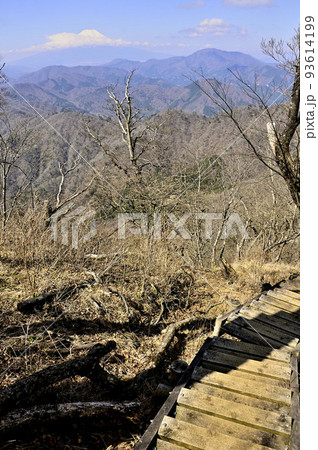 丹沢の大室山　甲相国境尾根より望む富士山 93614199