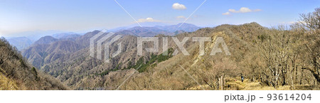 丹沢の大室山　甲相国境尾根からのパノラマ写真 93614204