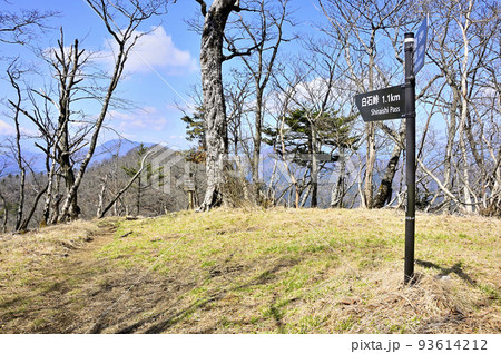 丹沢の甲相国境尾根 前大室山頂 丹沢の甲相国境尾根 前大室山頂 93614212