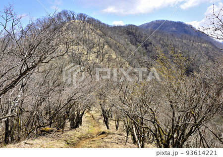 丹沢の甲相国境尾根　加入道山より大室山を望む 93614221