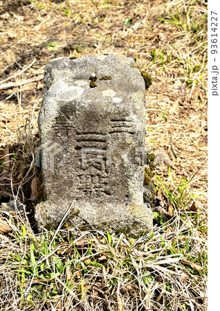 丹沢の甲相国境尾根 加入道山山頂の三角点 丹沢の甲相国境尾根 加入道山山頂の三角点 93614227