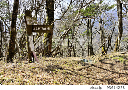 丹沢の甲相国境尾根の道 加入道山 丹沢の甲相国境尾根の道 加入道山 93614228