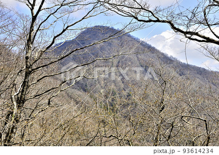 丹沢の加入道山　白石沢コースより大室山 93614234