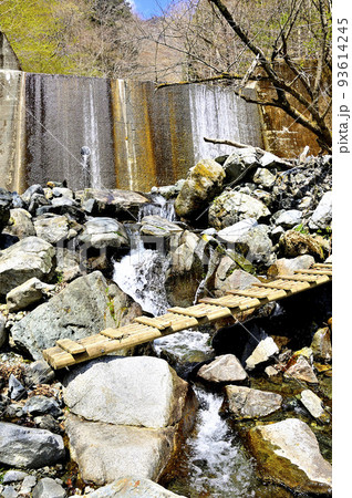 丹沢の加入道山 白石沢コース 沢を渡る木道 丹沢の加入道山 白石沢コース 沢を渡る木道 93614245