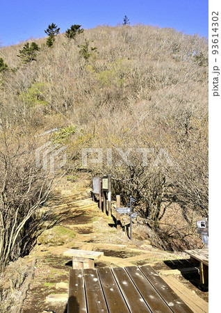 丹沢の大室山　かながわの景勝50選の犬越路 93614302