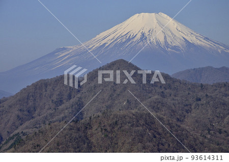 丹沢の丹沢主稜　大室山より望む富士山 93614311
