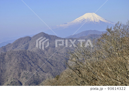 丹沢の丹沢主稜　大室山より望む富士山と西丹沢の山々 93614322