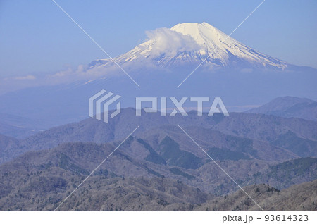 丹沢の丹沢主稜　大室山より望む富士山 93614323