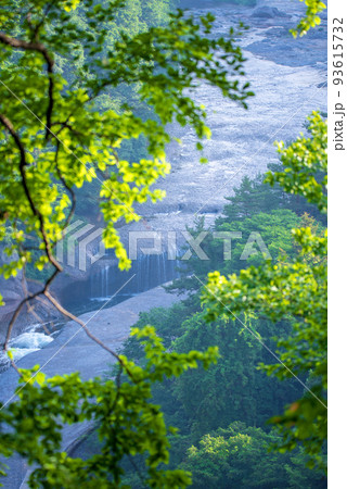 吹割の滝 遊歩道 観瀑台付近からの眺め 初夏の風景 吹割の滝 遊歩道 観瀑台付近からの眺め 初夏の風景 93615732