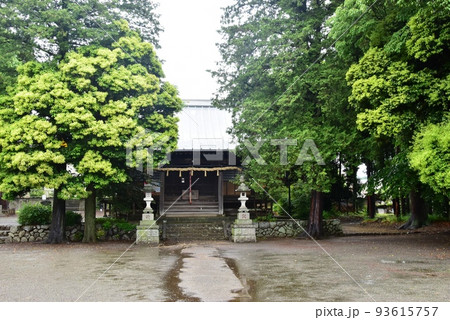 厚木市　小野神社の拝殿と境内と新緑 93615757