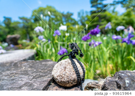 立ち入り禁止を表示する日本庭園の止め石と花菖蒲 立ち入り禁止を表示する日本庭園の止め石と花菖蒲 93615964