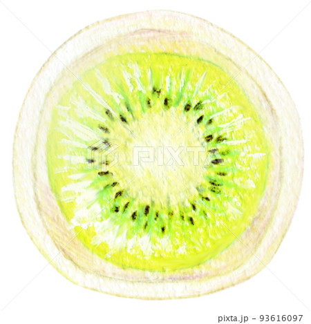 フルーツ大福の色鉛筆画ワンポイント　キウイ 93616097