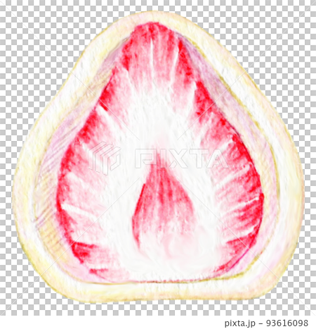 フルーツ大福の色鉛筆画ワンポイント　苺 93616098