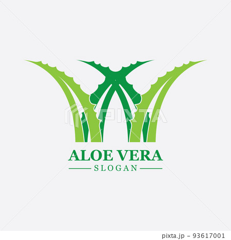 Green plant aloe vera logo vector icon symbol many benefits Green plant aloe vera logo vector icon symbol many benefits 93617001
