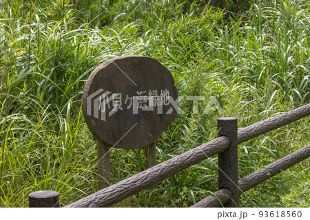 茨城県日立市　小貝ヶ浜緑地公園 93618560