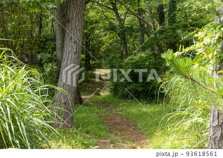 茨城県日立市　小貝ヶ浜緑地公園 93618561