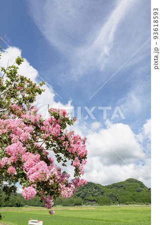 田園の夏の風景 田園の夏の風景 93618593